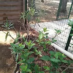 Avec Jardin, Piscine, Sauna, Proche De La Et Du Village Naturiste アパート *