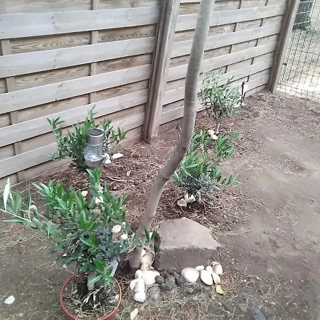 Avec Jardin, Piscine, Sauna, Proche De La Et Du Village Naturiste Διαμέρισμα Agde