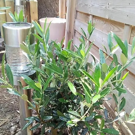 Avec Jardin, Piscine, Sauna, Proche De La Et Du Village Naturiste Διαμέρισμα