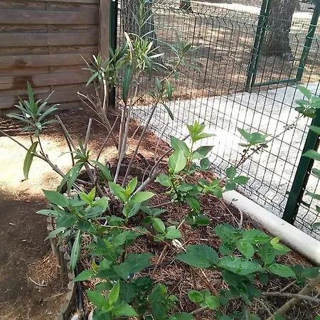 Avec Jardin, Piscine, Sauna, Proche De La Et Du Village Naturiste Διαμέρισμα *