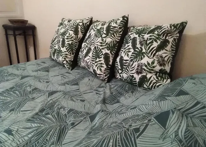 Avec Jardin, Piscine, Sauna, Proche De La Et Du Village Naturiste Appartement Agde