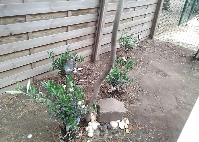 Avec Jardin, Piscine, Sauna, Proche De La Et Du Village Naturiste Appartement Agde