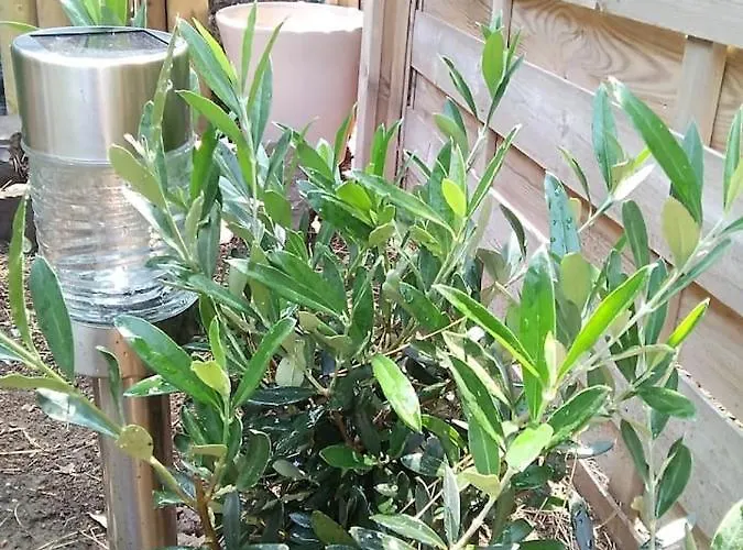 Avec Jardin, Piscine, Sauna, Proche De La Et Du Village Naturiste Appartement