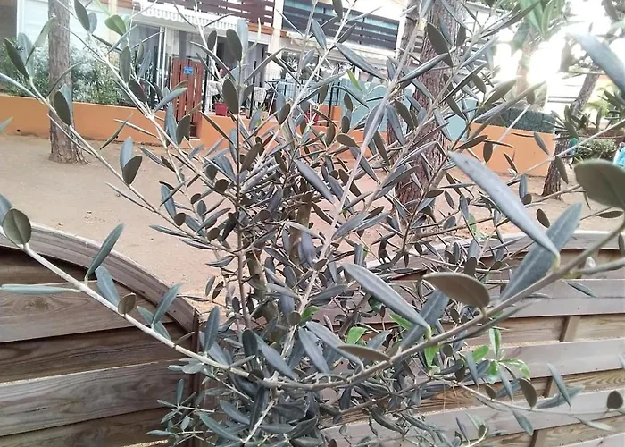 Appartement Avec Jardin, Piscine, Sauna, Proche De La Et Du Village Naturiste *