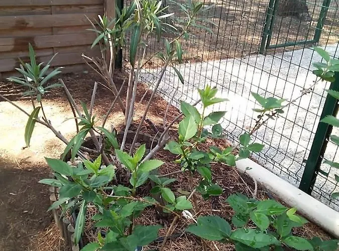 Avec Jardin, Piscine, Sauna, Proche De La Et Du Village Naturiste Appartement *