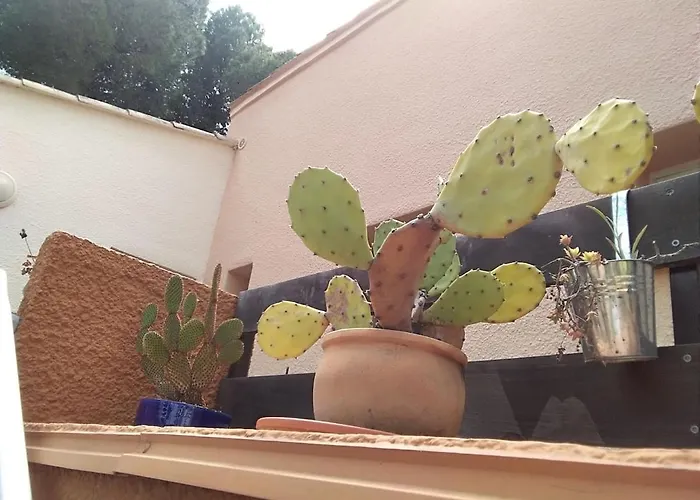 Avec Jardin, Piscine, Sauna, Proche De La Et Du Village Naturiste *